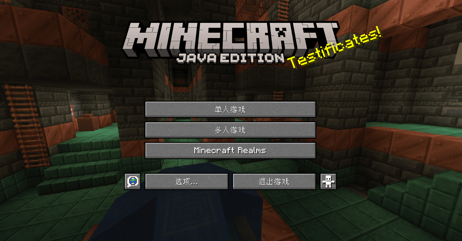 用 Radmin LAN 和好友联机 Minecraft